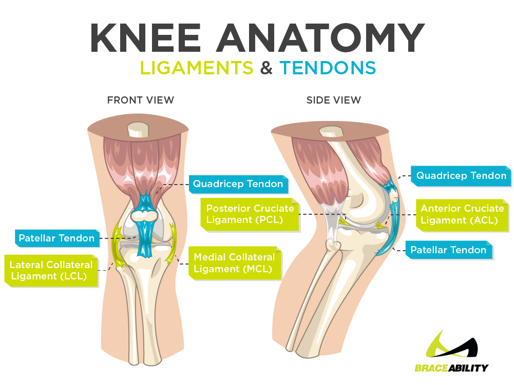 why-does-the-left-side-of-my-knee-hurt-healthykneesclub-2022