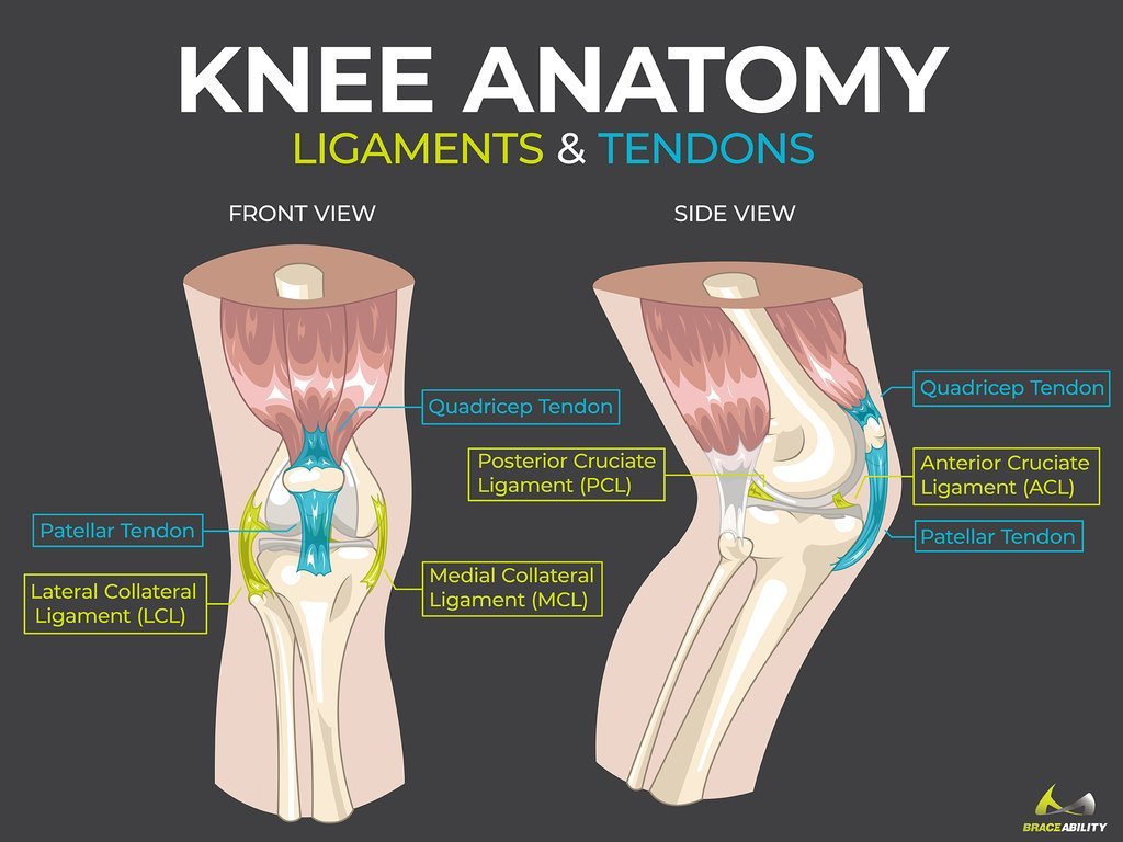 why-does-the-left-side-of-my-knee-hurt-healthykneesclub-2022